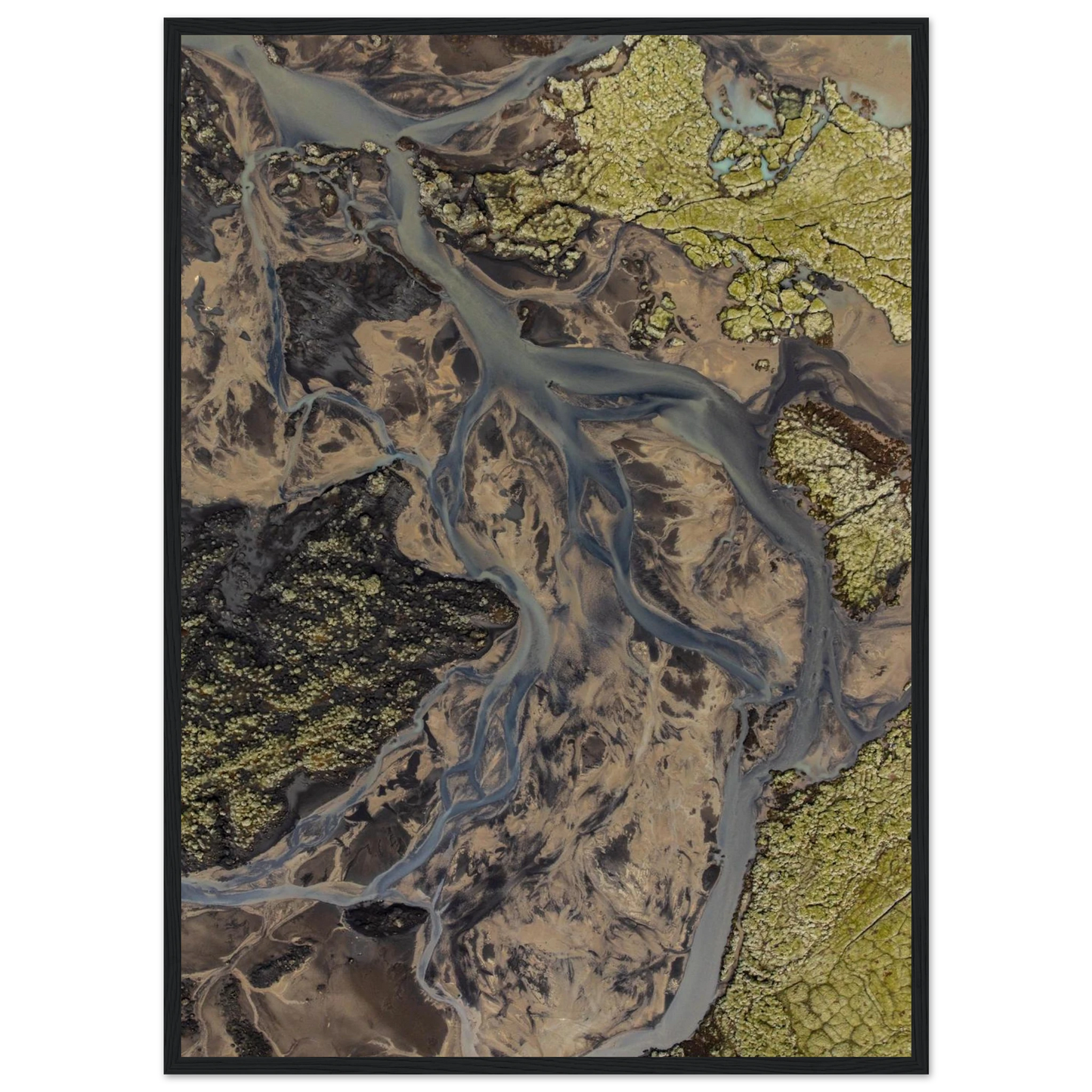 ee42b9c4-33e6-40bb-9182-564dec329dd3